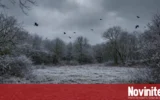 Ще донесе ли полярният вихър ранна зима в България? Месечна прогноза за ноември 2026