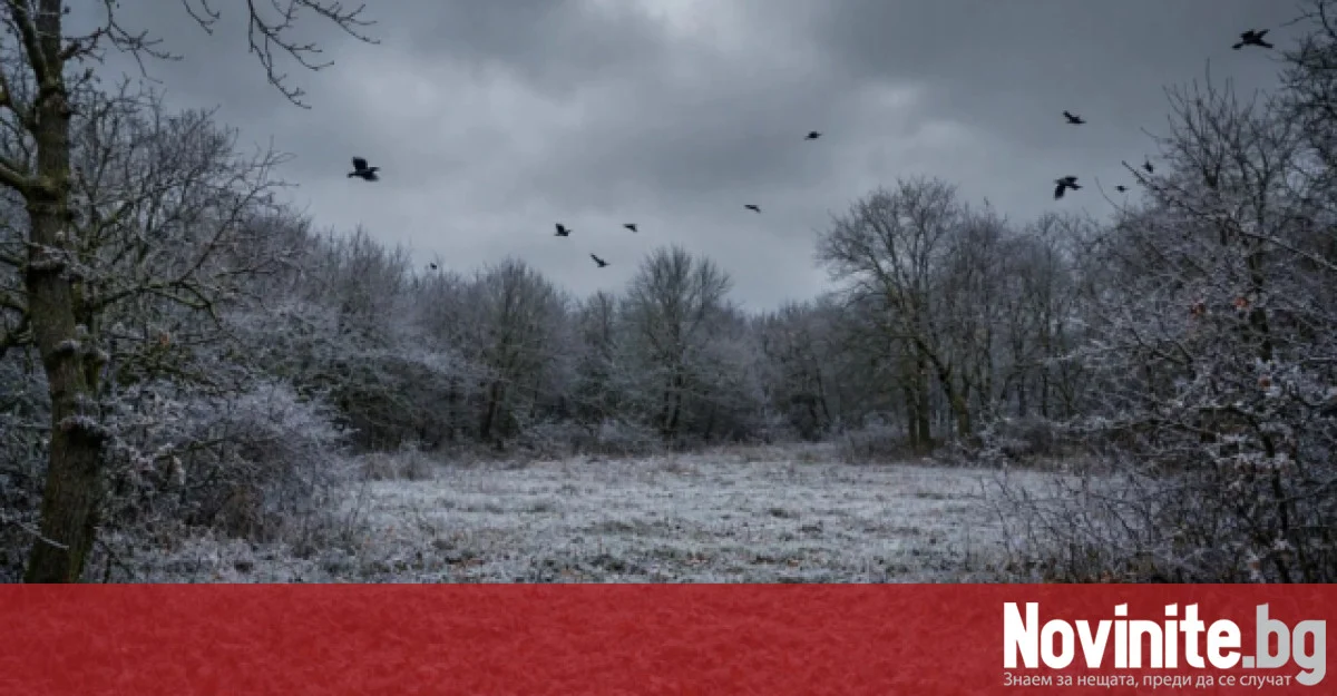 Ще донесе ли полярният вихър ранна зима в България? Месечна прогноза за ноември 2026