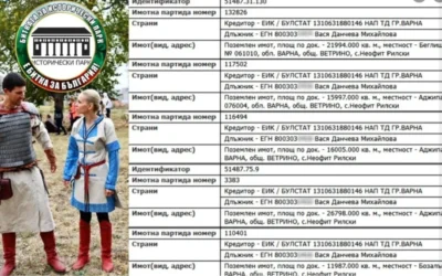 Окончателно: Жената на Ивелин Михайлов трябва да плати на НАП около 310 000 евро данъци