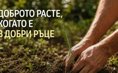 Нестле Залесяваме активно с Гора от хора – кампания, която превръща възстановяването на горите в лична кауза