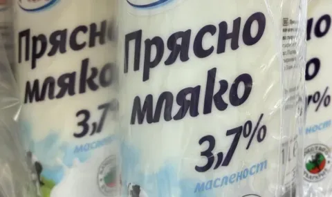 Фермер: Давам овчето мляко на ишлеме и продавам сирене