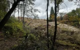 „Спаси София“: Незаконно сметище във вилна зона „Бункера“ застрашава река Кална
