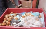 Мащабна кибератака развали храна за милиони в европейски супермаркети