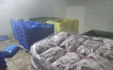 БАБХ затвори обект за консерви в Пловдив, унищожават над тон храни