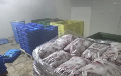 БАБХ затвори обект за консерви в Пловдив, унищожават над тон храни