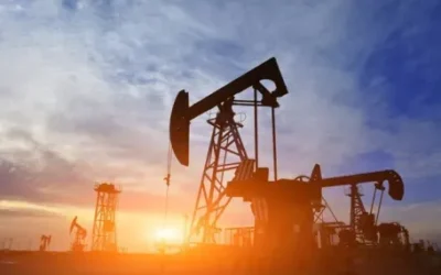 Далеч от Персийския залив! Chevron, Shell и китайски компании търсят петрол за $500 млн.