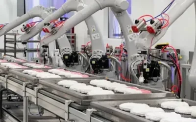 Близо 9000 безработни са започнали работа в Пловдивско