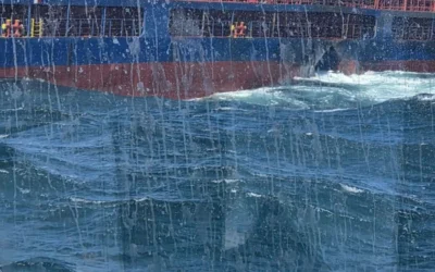 След атаките с дронове в Черно море: Опозицията настоява за съвместни действия с партньорите от НАТО
