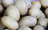 Картофи, лук, зеле и т.н.: В руско село получаваш само срещу подпис, глад в руски регион