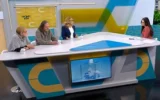 Каква е предизборната кампания през погледа на експертите