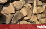 На прага на зимата: Над 5300 домакинства получиха дърва за огрев