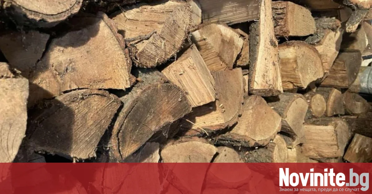 На прага на зимата: Над 5300 домакинства получиха дърва за огрев