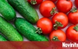 Рекордни надценки: Очаква се нов скок в цените на домати и краставици