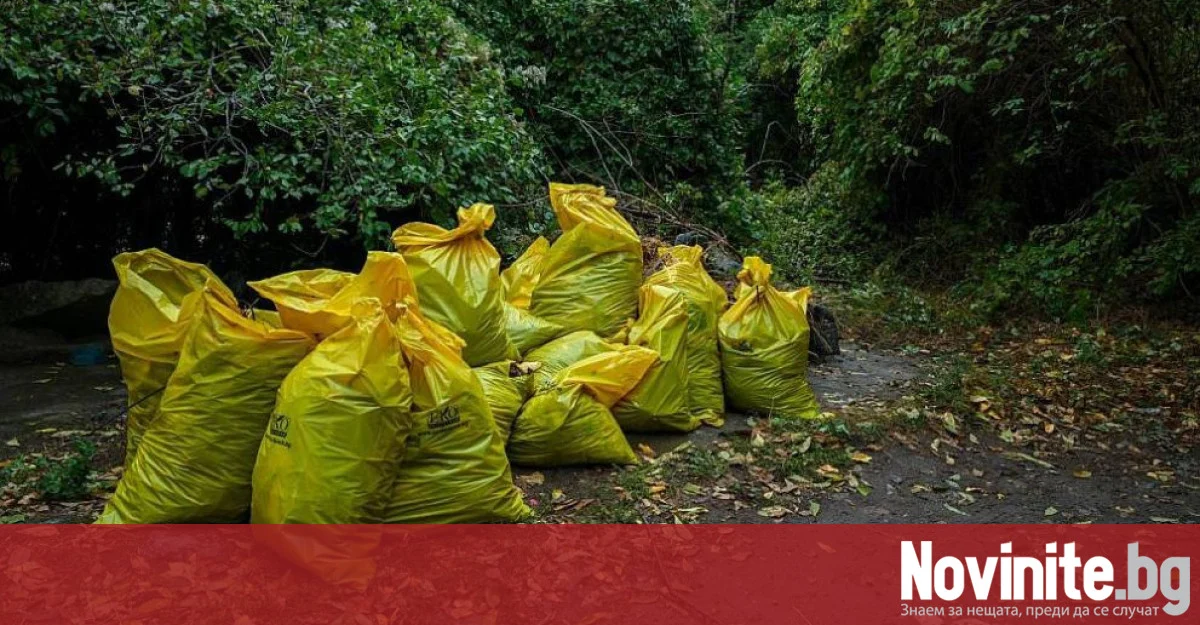 Софиянци обединиха усилия за по-чисти квартали и възстановяване на езерата в Южния парк