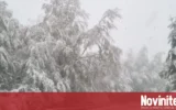 Супер Ел Ниньо: Нова прогноза за зима 2026/2027 >> По-малко сняг в голяма част от Европа