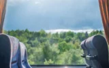 Временна автобусна линия ще осигурява достъп до „Новата гора на София“ край Банкя
