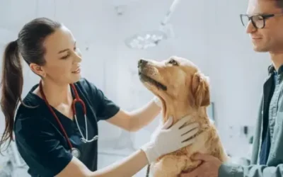 Защо на кучето му минава по пътя към ветеринаря