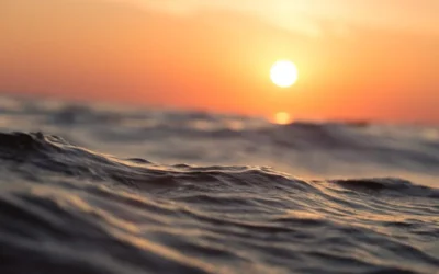 Морските животни в дълбините на Мексиканския залив са намалели с около 60% след разлива от 2010 г.