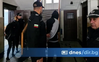 Мъчителите на животни от Свищов получиха ефективни присъди, признали вината си