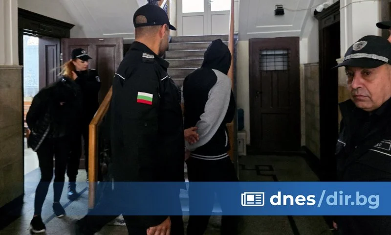 Мъчителите на животни от Свищов получиха ефективни присъди, признали вината си
