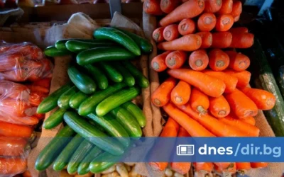 Спряха над 51 тона плодове и зеленчуци с пестициди от Турция само за 13 дни
