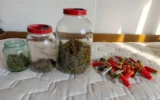 Германец е задържан с близо килограм марихуана при полицейска акция в Царево