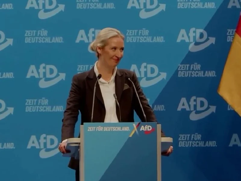 „Алтернатива за Германия“ предлага кардинална перестройка на ЕС