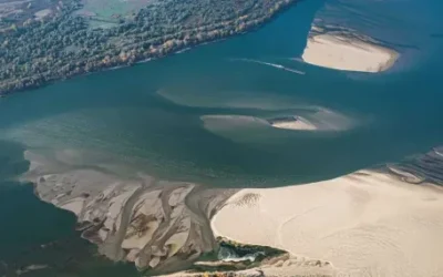 WWF: Над половината компании в Централна и Източна Европа вече са засегнати от проблеми, свързани с водата