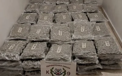 200 кг канабис е открит в камион с българска регистрация в Австрия