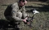Володимир Зеленски: Скоростта на „Старлинк“ в Украйна не е възстановена