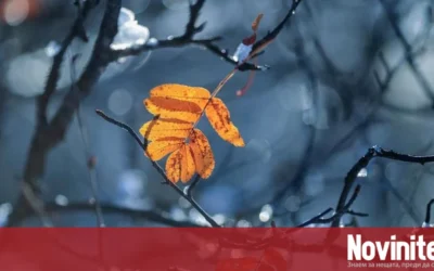 Дъжд и гръмотевици до обяд, след това слънце, но по-студено