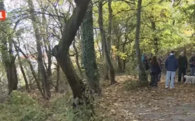 Жители на „Драгалевци“ бранят терен за озеленяване
