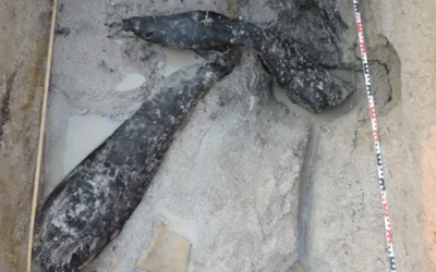 Два дървени предмета пренаписват историята. Тайна на половин милион години