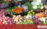 Поскъпват повечето зеленчуци на борсите у нас