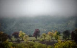 Meteo Balkans с пълната прогноза за седмицата