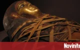 Прах от египетски мумии лекува вируси: Учени разкриха вековна загадка