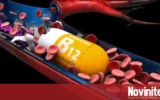 Помагат ли наистина добавките с витамин B12 за здравето на сърцето