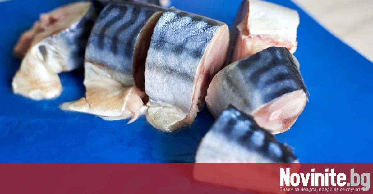 Скумрия или риба тон: Коя е по-добра за здравето и бюджета