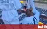 Влаковата трагедия в Испания: Над 60 са вече жертвите, ранените – 179