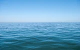 МОСВ проверява за замърсяване на Черно море след днешния инцидент с контейнеровоз
