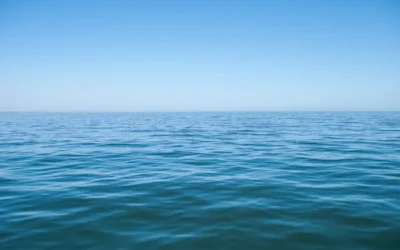 МОСВ проверява за замърсяване на Черно море след днешния инцидент с контейнеровоз