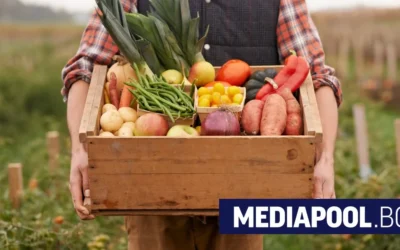 Да счупиш модела: Как потребителите сами довеждат фермерската храна в града