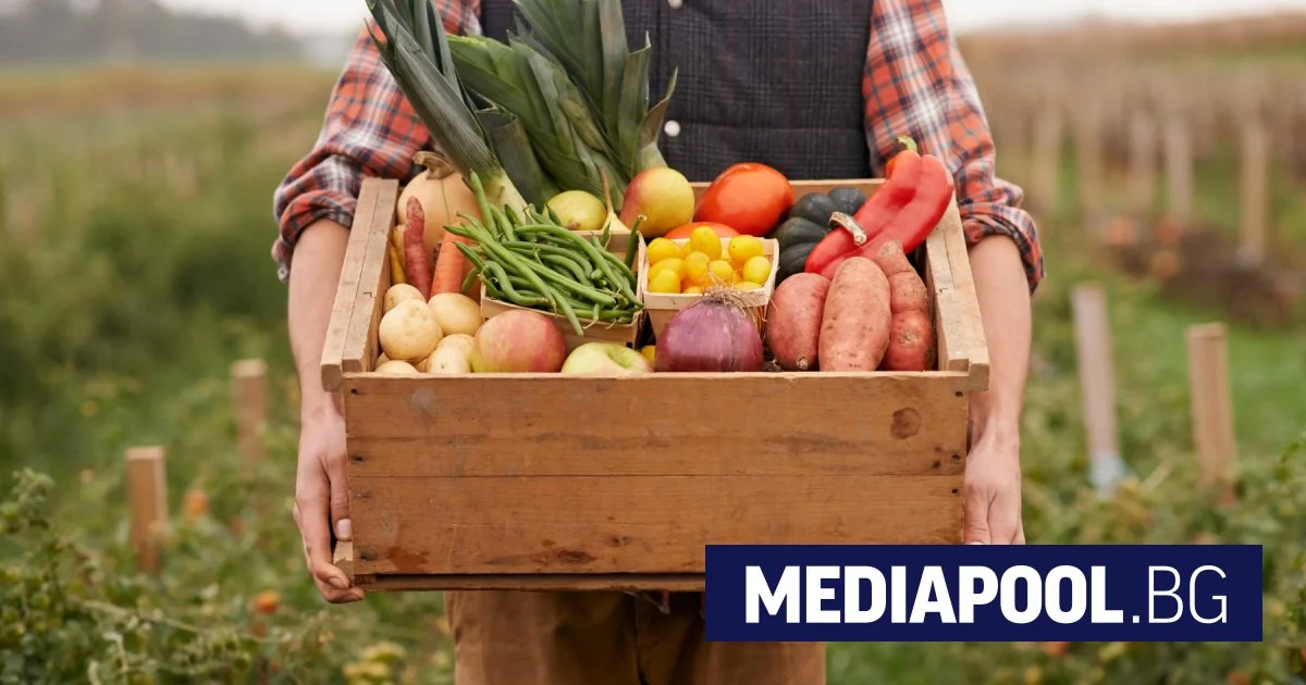 Да счупиш модела: Как потребителите сами довеждат фермерската храна в града