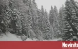 Сигнал до ДАНС предупреждава за блокаж на зимната пътна поддръжка