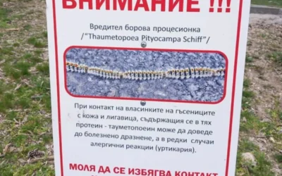 Опасен вредител под прицел! Стара Загора обработва нови зелени зони