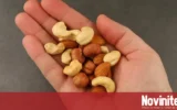 Консумацията на растителни протеини вдига тестостерона