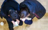 Смартфоните ще могат да се използват за електронно гласуване на изборите в Естония през 2027 г.
