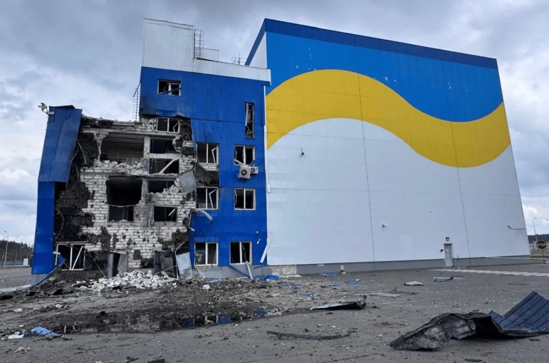 Кучетата в Чернобил имат гени, адаптирани към „края на света“, сочи проучване