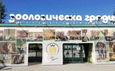 Грижат се за 240 вида животни, а получават почти минимални заплати: протест в Софийския зоопарк