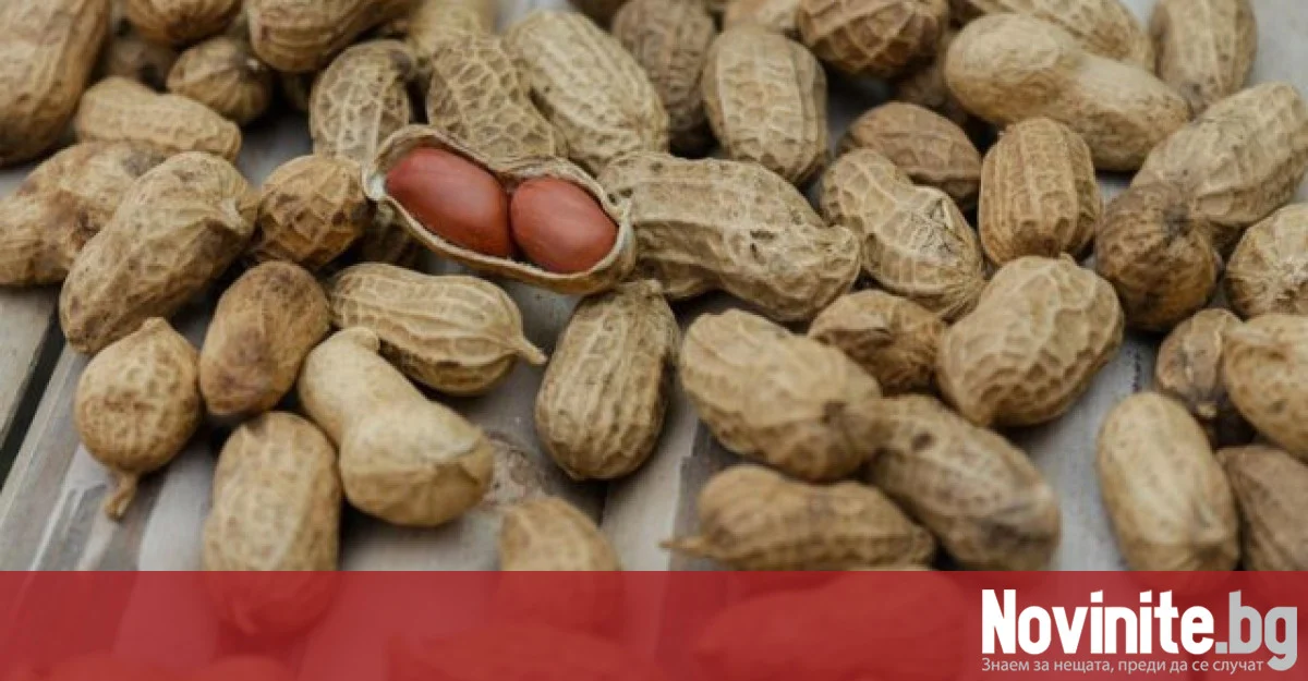 Шепа фъстъци на ден може да помогне на мозъка да запази функциите си с възрастта
